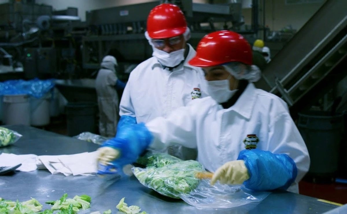 FDA rectifica: lechuga de México no causó brote de diarrea explosiva en EU; fue un ''falso positivo