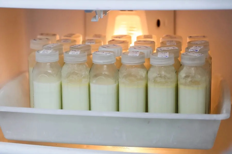 Alertan que sólo 34% de recién nacidos en México tienen acceso a leche materna