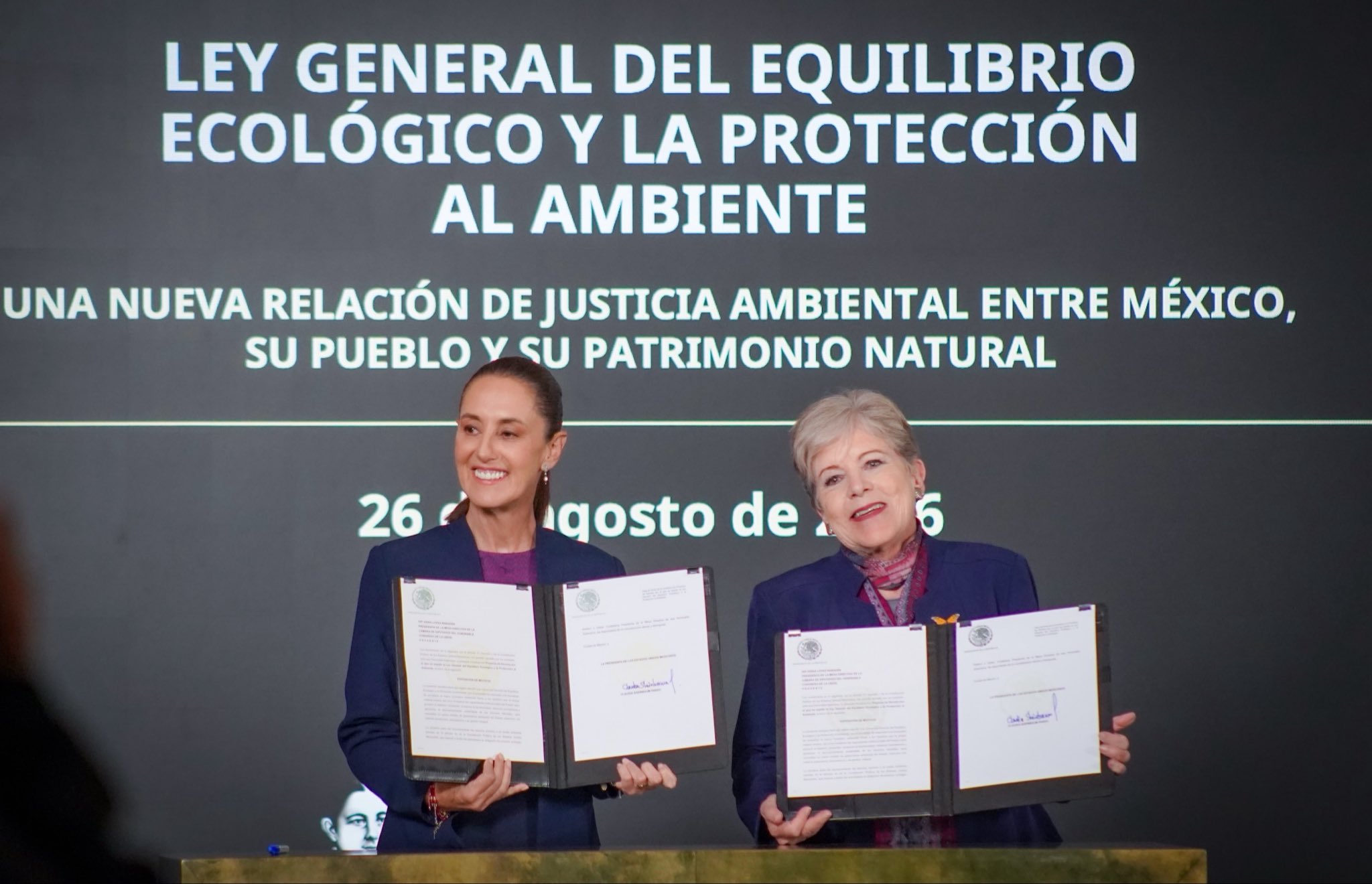 La ley y las rodillas