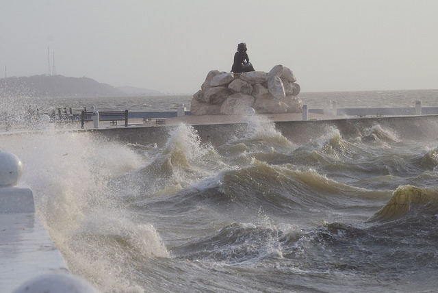 La naturaleza no tiene palabra: Procivy