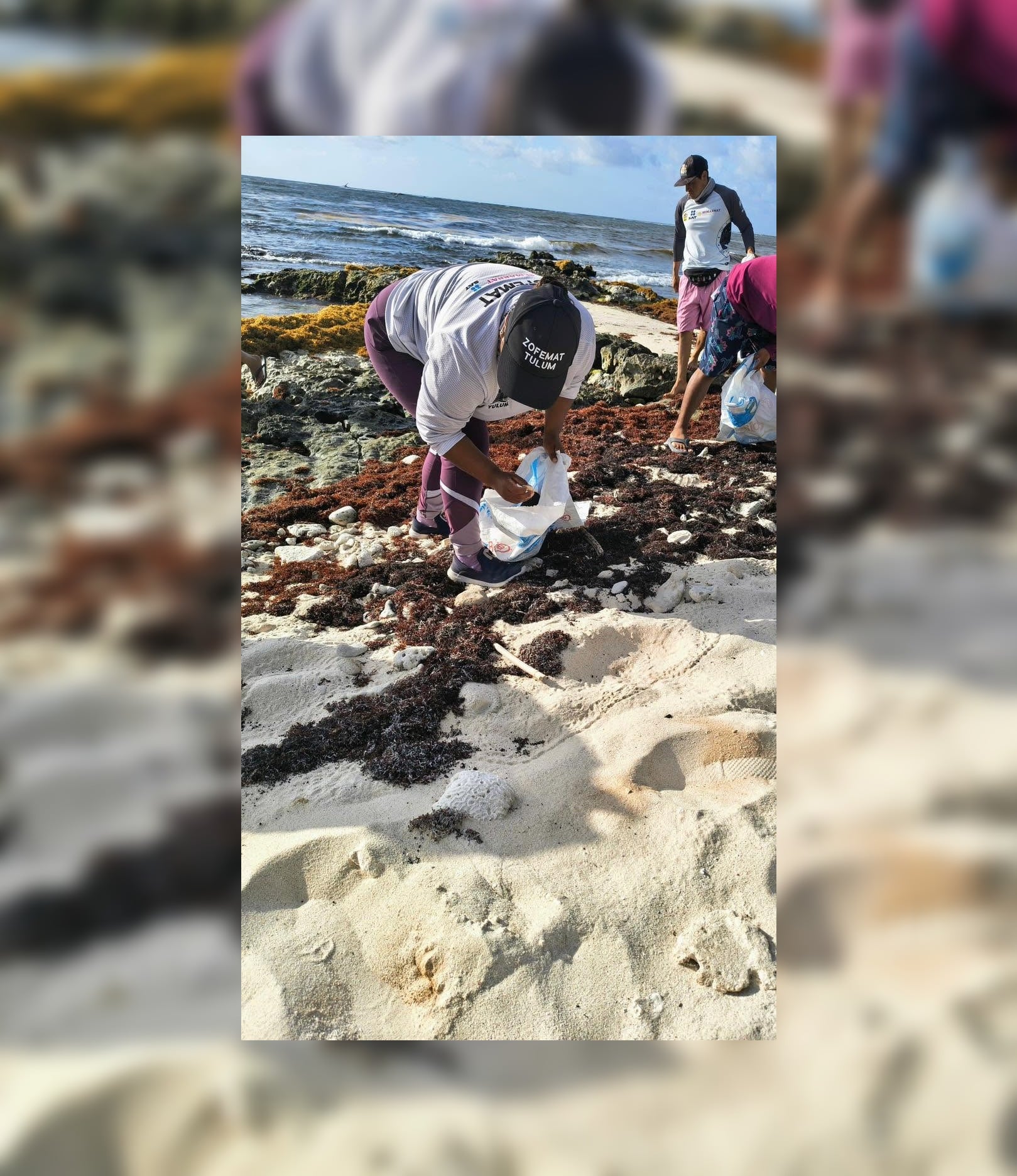 Realizarán dos jornadas de limpieza de playas en Tulum