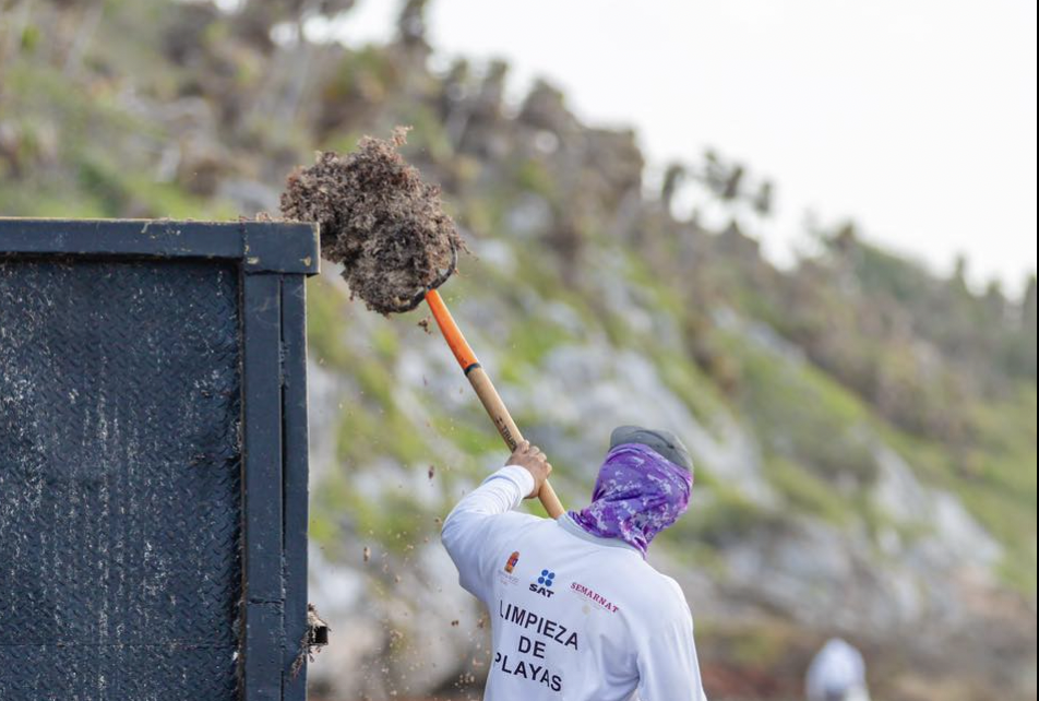 Contratan más personas para limpieza de playas en Tulum