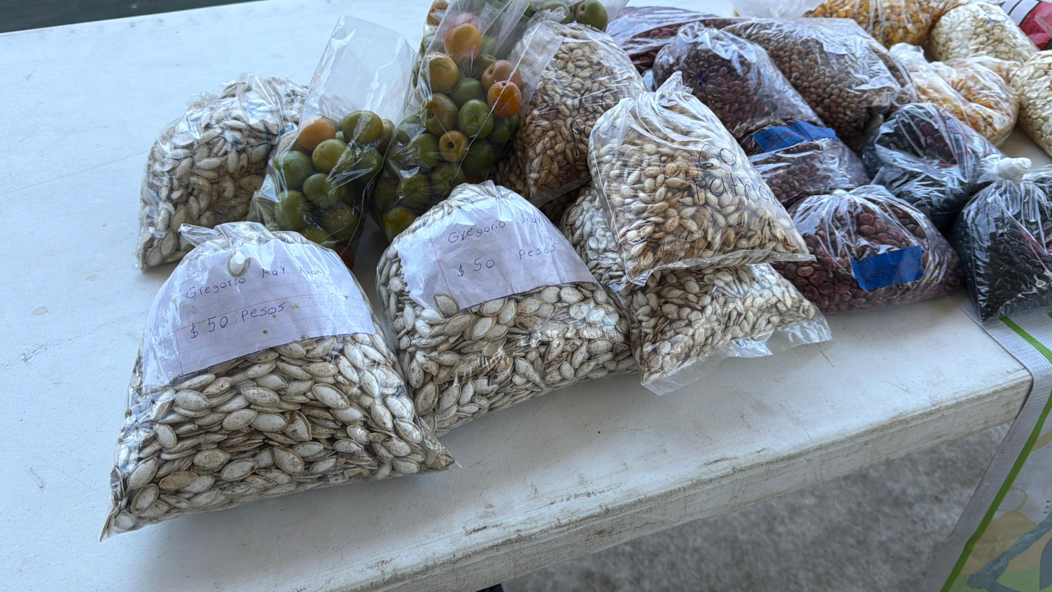 Cambios bruscos del clima han golpeado a campesinos de Quintana Roo