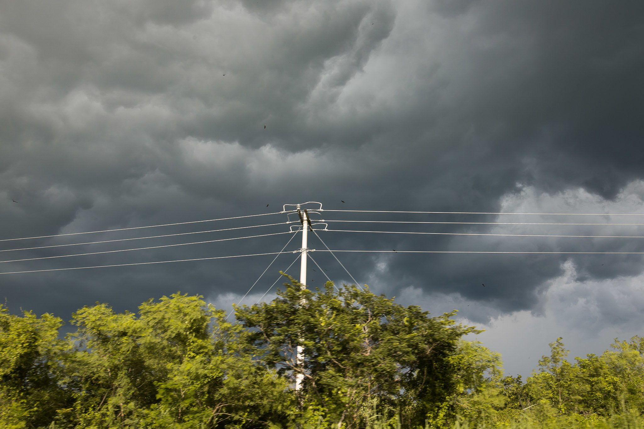 Pronóstico del tiempo: Así será el clima en Yucatán este viernes 12 de junio