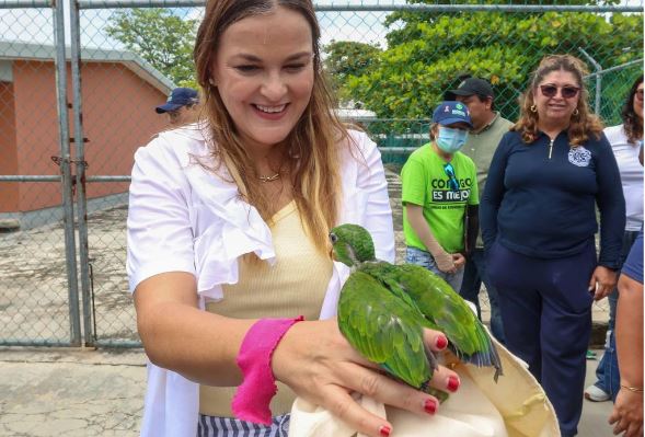 Resguardan lorito rescatado durante caminata en la Colonia Vergel lll; recibirá atención especializada en Animaya