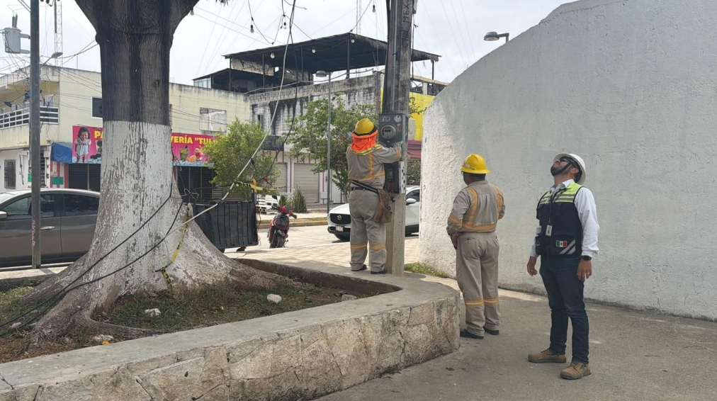 Personal de CFE desconecta más de 70 ''diablitos'' en Tulum