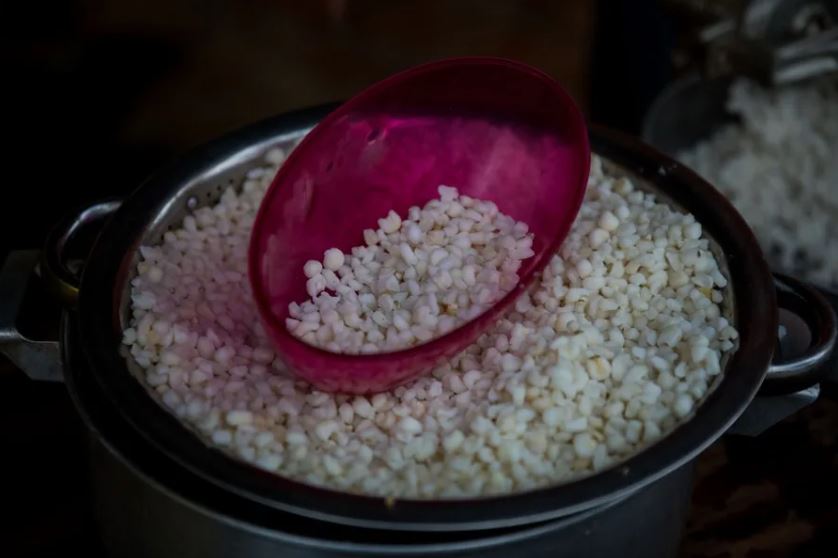 Más de 108 mdp para maiceros de Campeche: entregan apoyos sin intermediarios