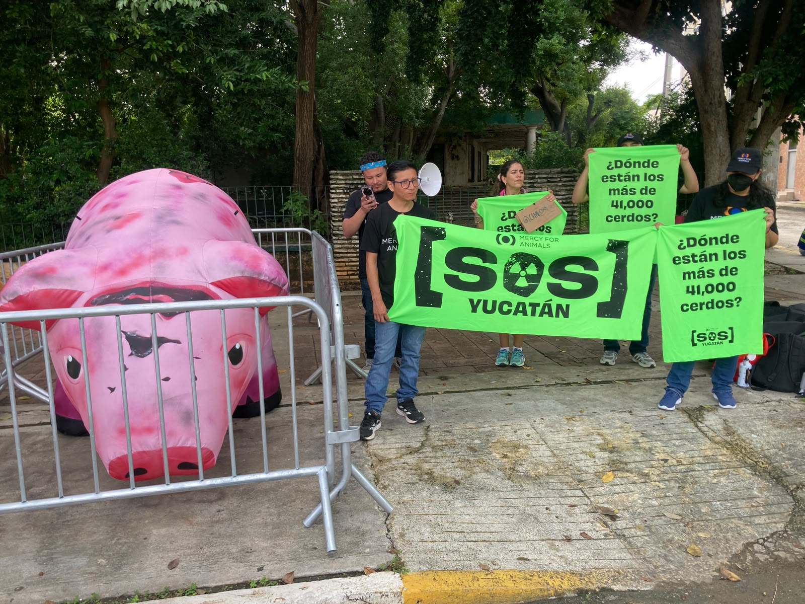 Exigen censo real de granjas porcícolas que operan en Yucatán 
