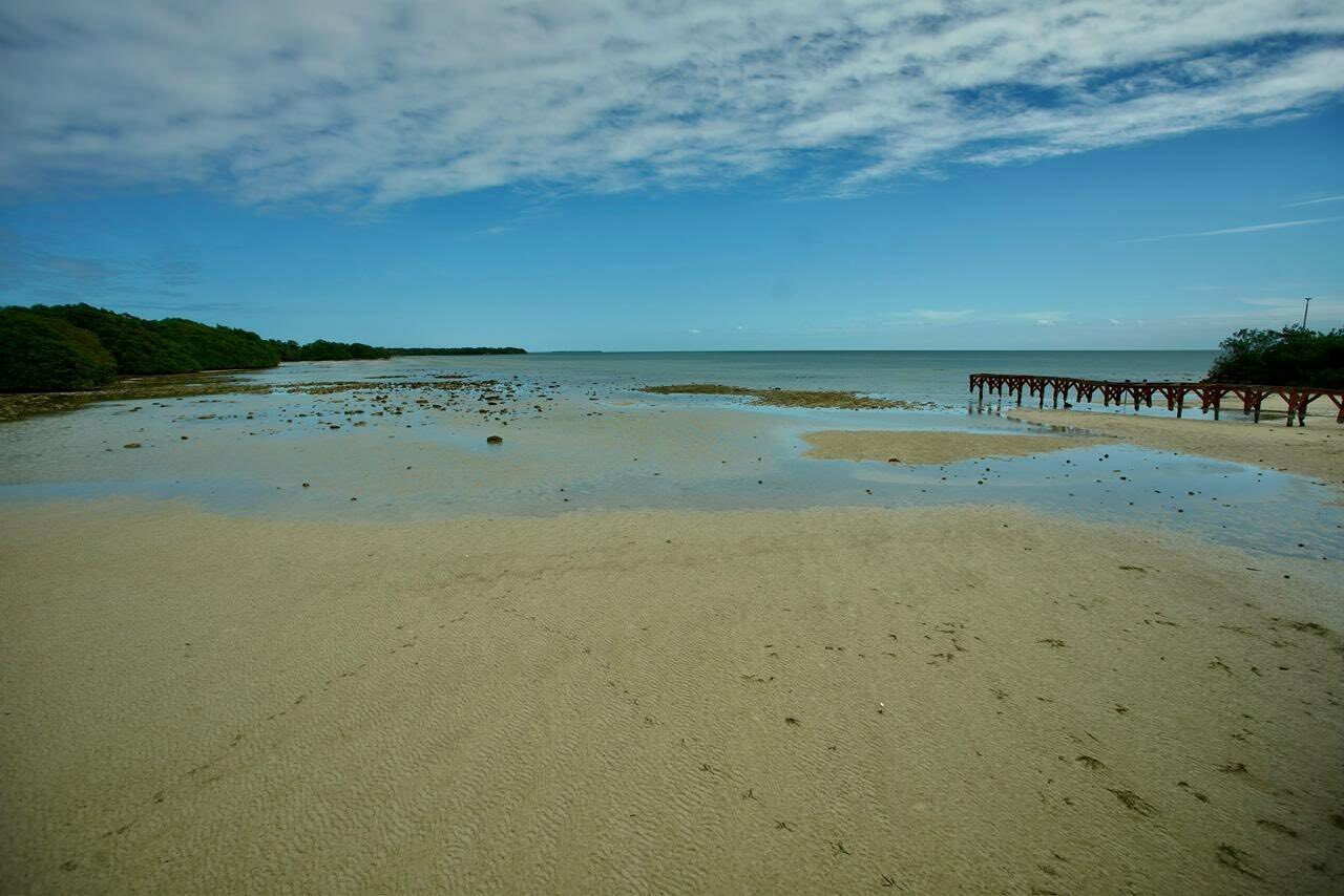 Se aleja el mar de la bahía de Chetumal: Fotos