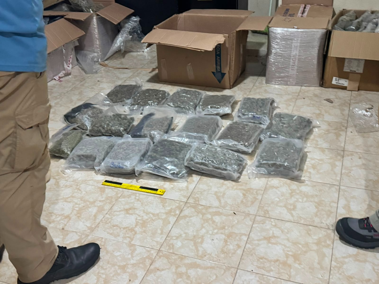 Aseguran más de 407 kilos de marihuana durante cateos en Mérida y Conkal