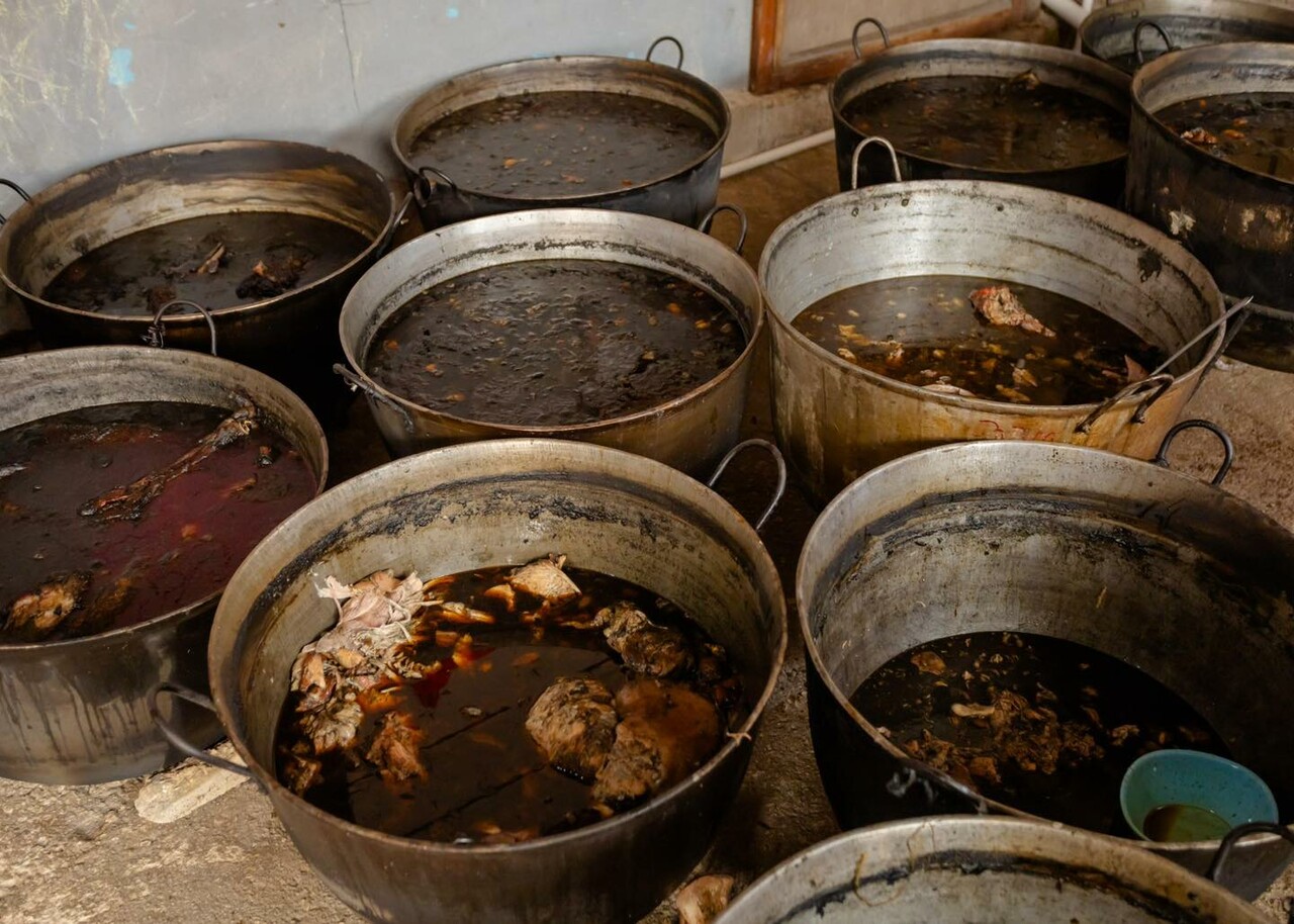 Celebran en Tulum el Matan, ceremonia maya donde se comparten alimentos en comunidad