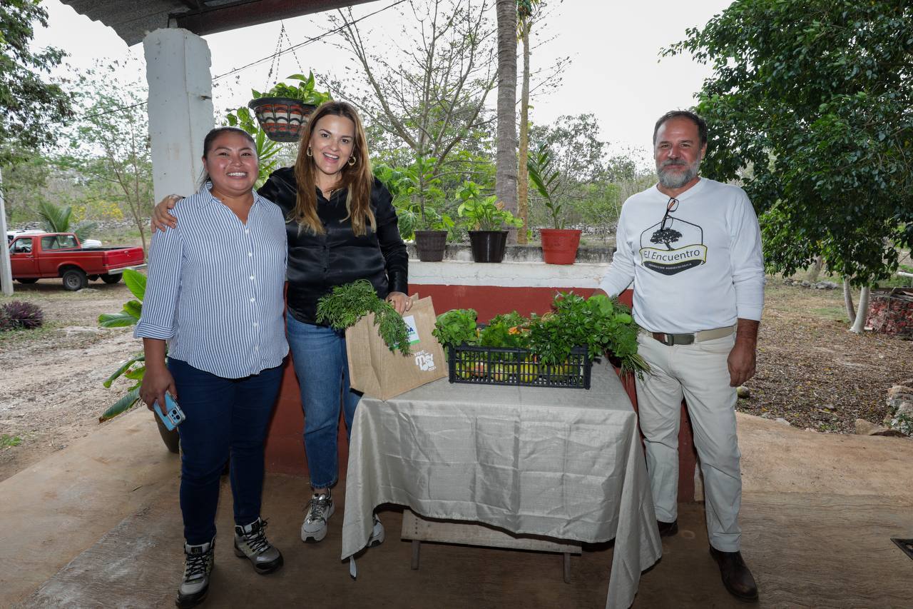 Programa Mérida Comunitaria se consolida como modelo de turismo con justicia social