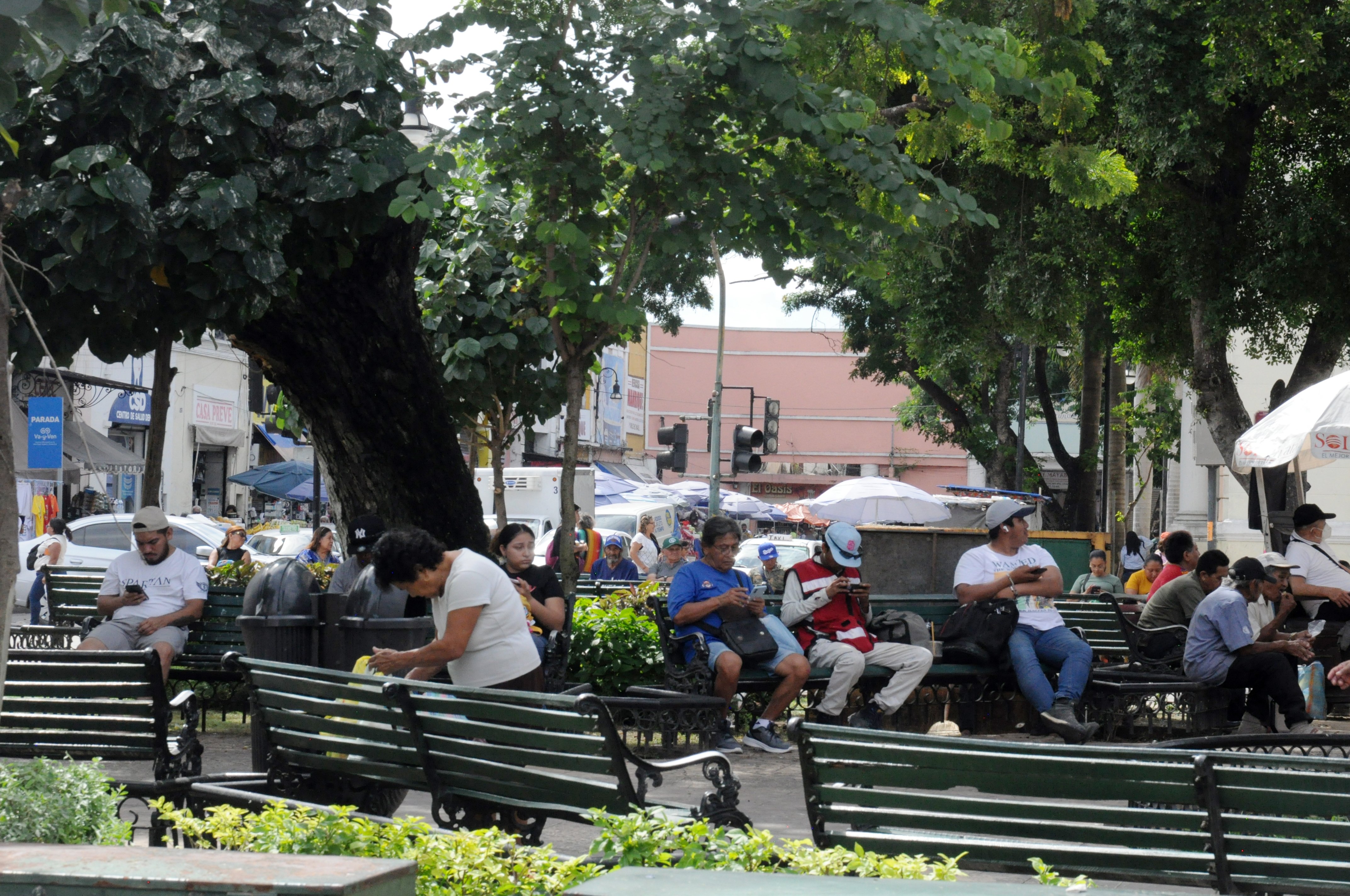 Mérida ¿ciudad verde y equitativa?
