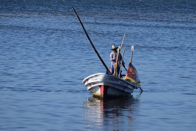 Baja 20 por ciento la pesca del mero en 2018