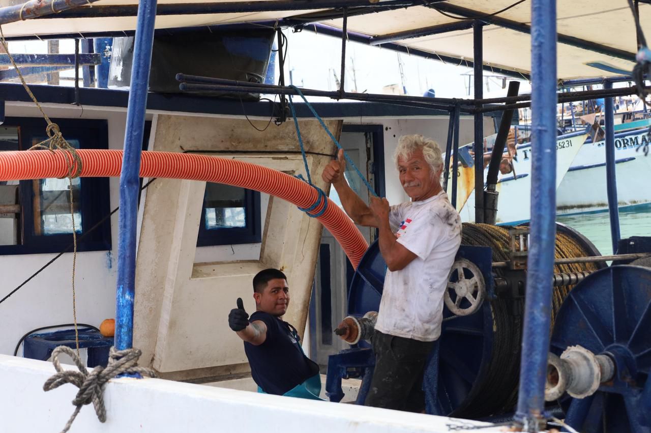 Comienza en Yucatán la temporada de captura de mero con llamado a la pesca responsable