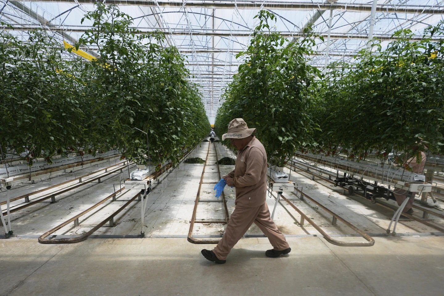 A pesar de los tarifazos, México es el principal proveedor de EU