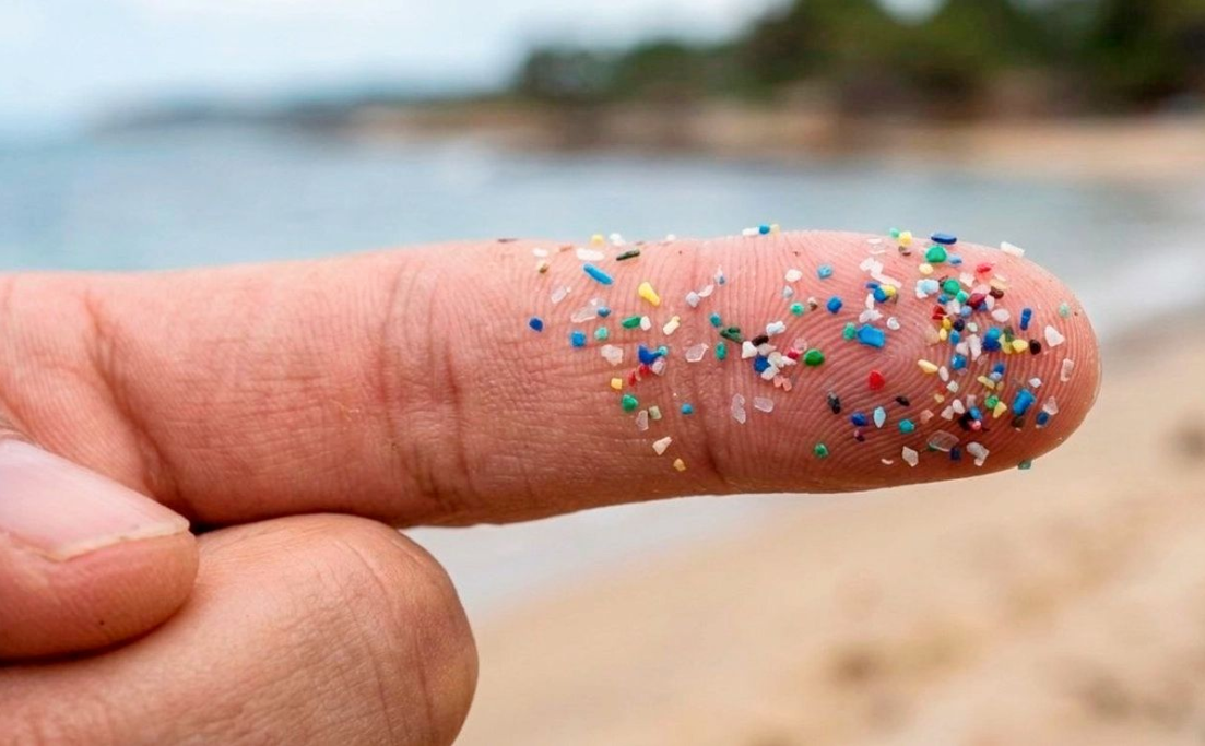 IPN detecta microplásticos en orina y sangre en habitantes de Oaxaca; es el primer estudio en su tipo