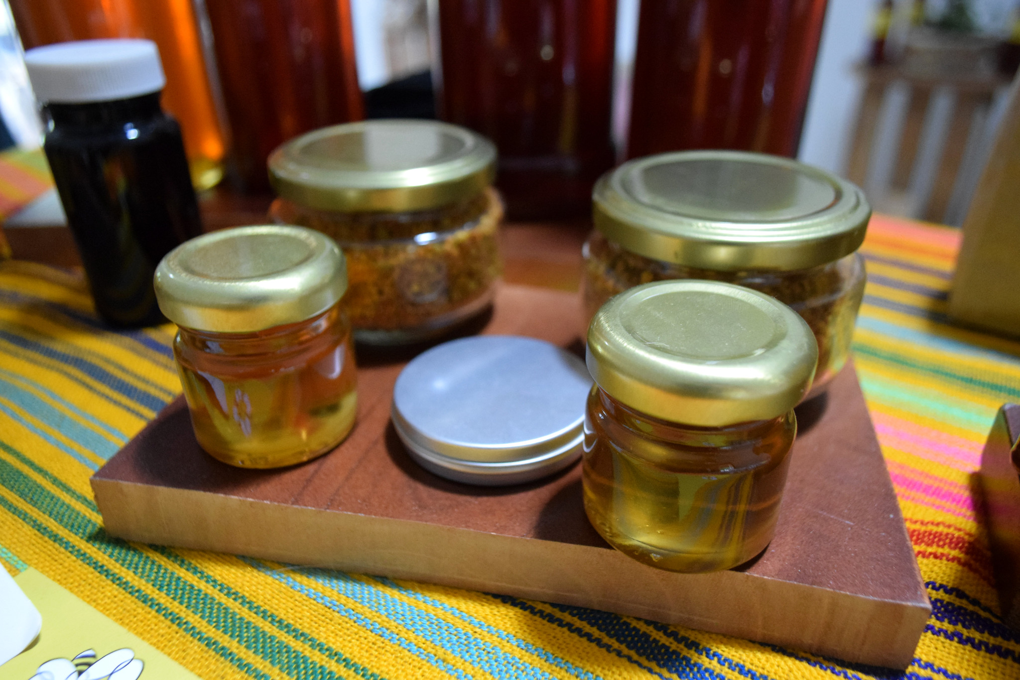 Yucatán tuvo el mayor aumento de sus exportaciones en México