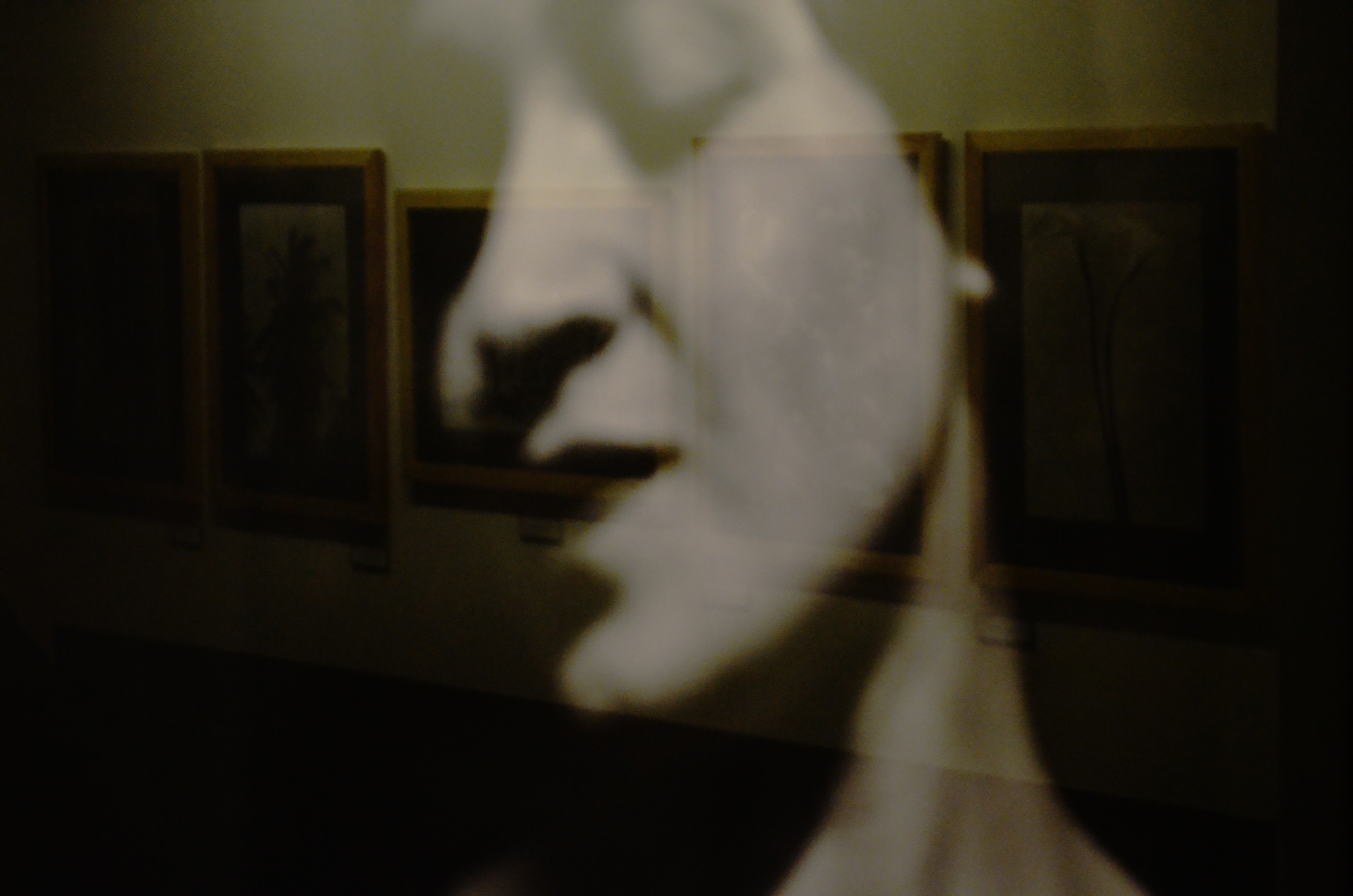 Exposición de Tina Modotti en la ciudad