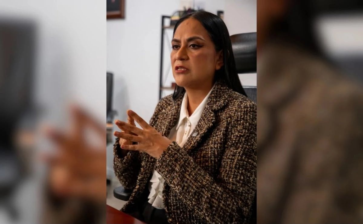''Vamos a poner orden'' en Morena: Ariadna Montiel