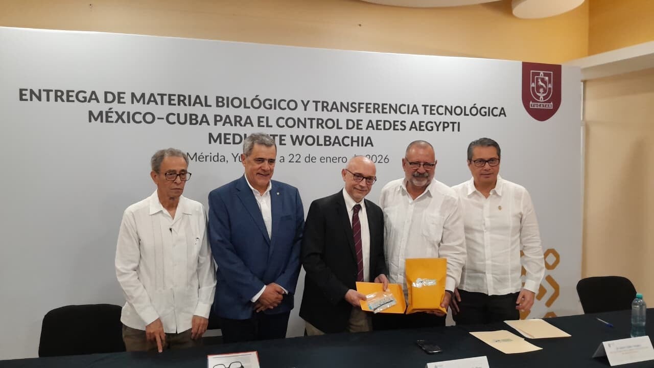 De Yucatán para Cuba: UADY entrega ''mosquitos buenos'' contra el dengue