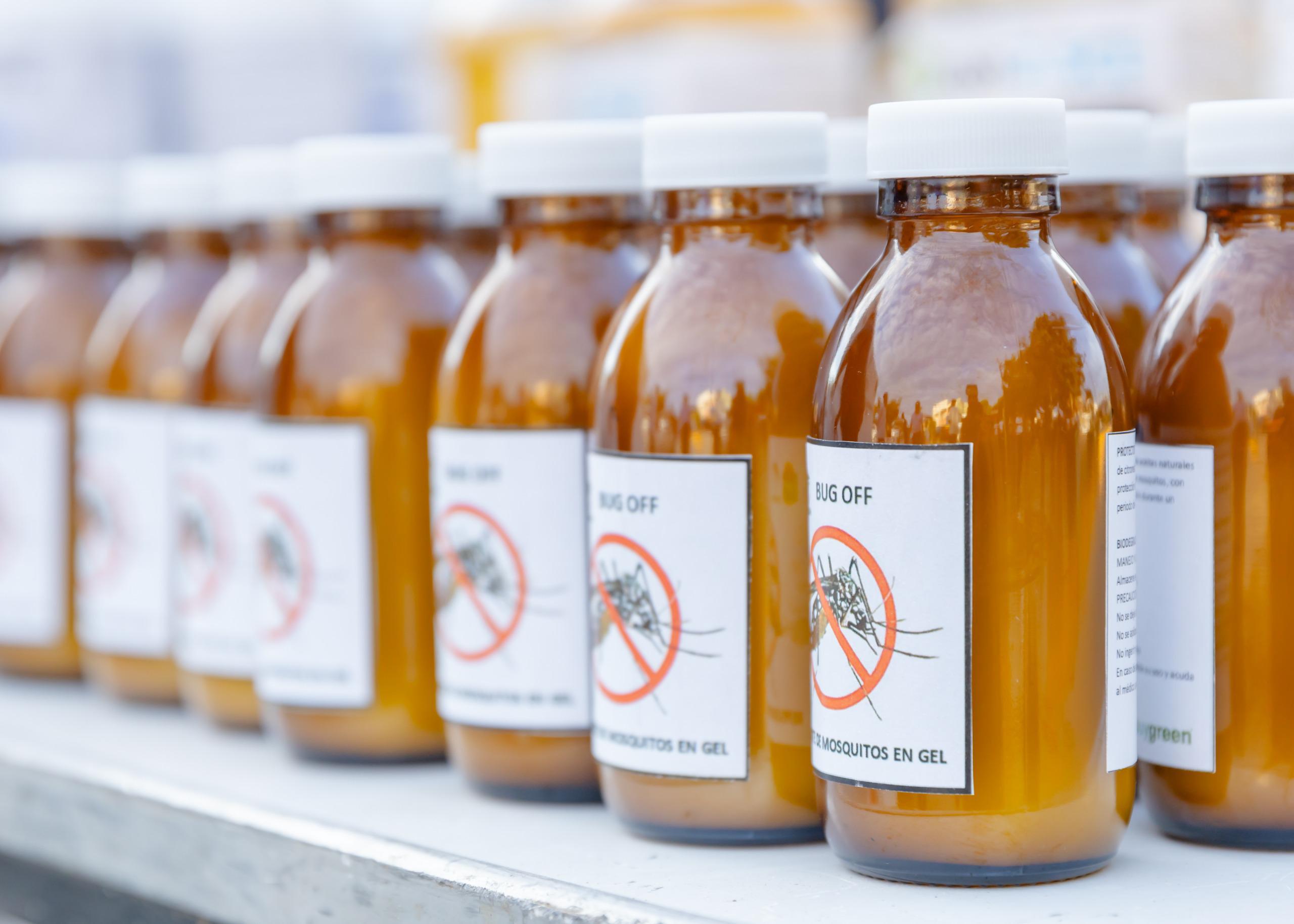 Reconocen apicultores apoyo del gobierno de Quintana Roo a la producción de miel de abeja melipona