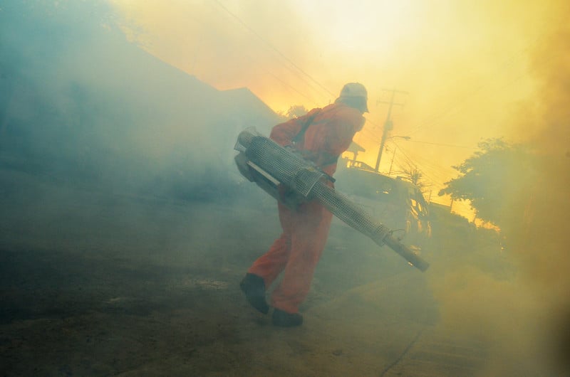 Limitan fumigaciones en municipios de Campeche; podrían acusar a las alcaldías de contaminación 