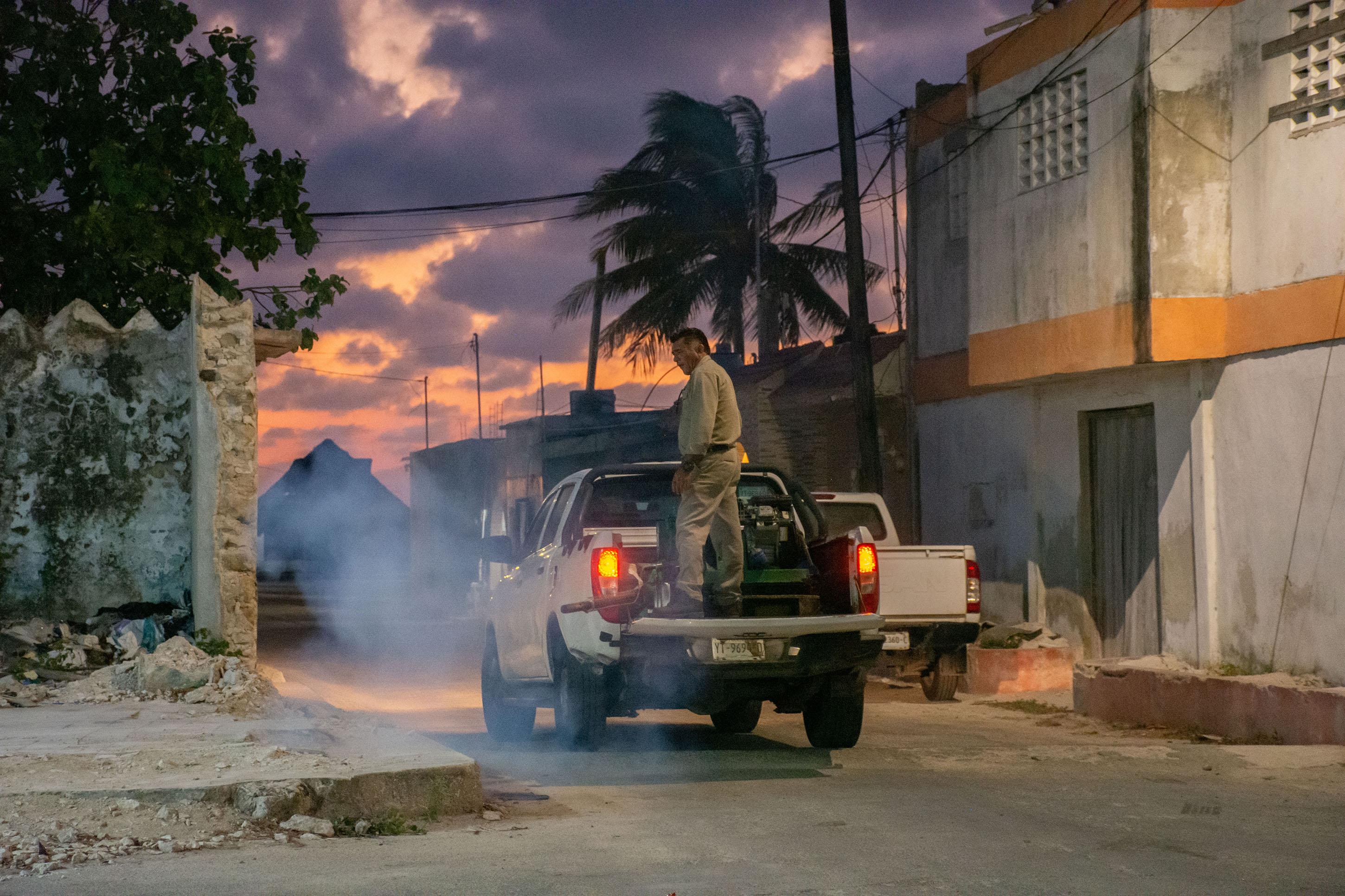 Fumigan en Mérida y zonas costeras de Yucatán contra el mosquito de la ciénaga: su comportamiento es en forma de enjambre