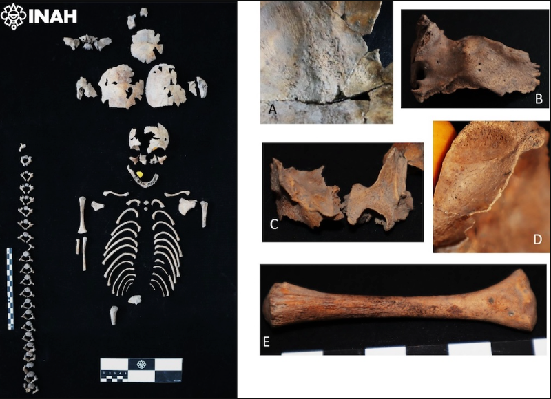 Antropología física revela posible Cihuapipiltin, una tlatelolca muerta en su primer parto