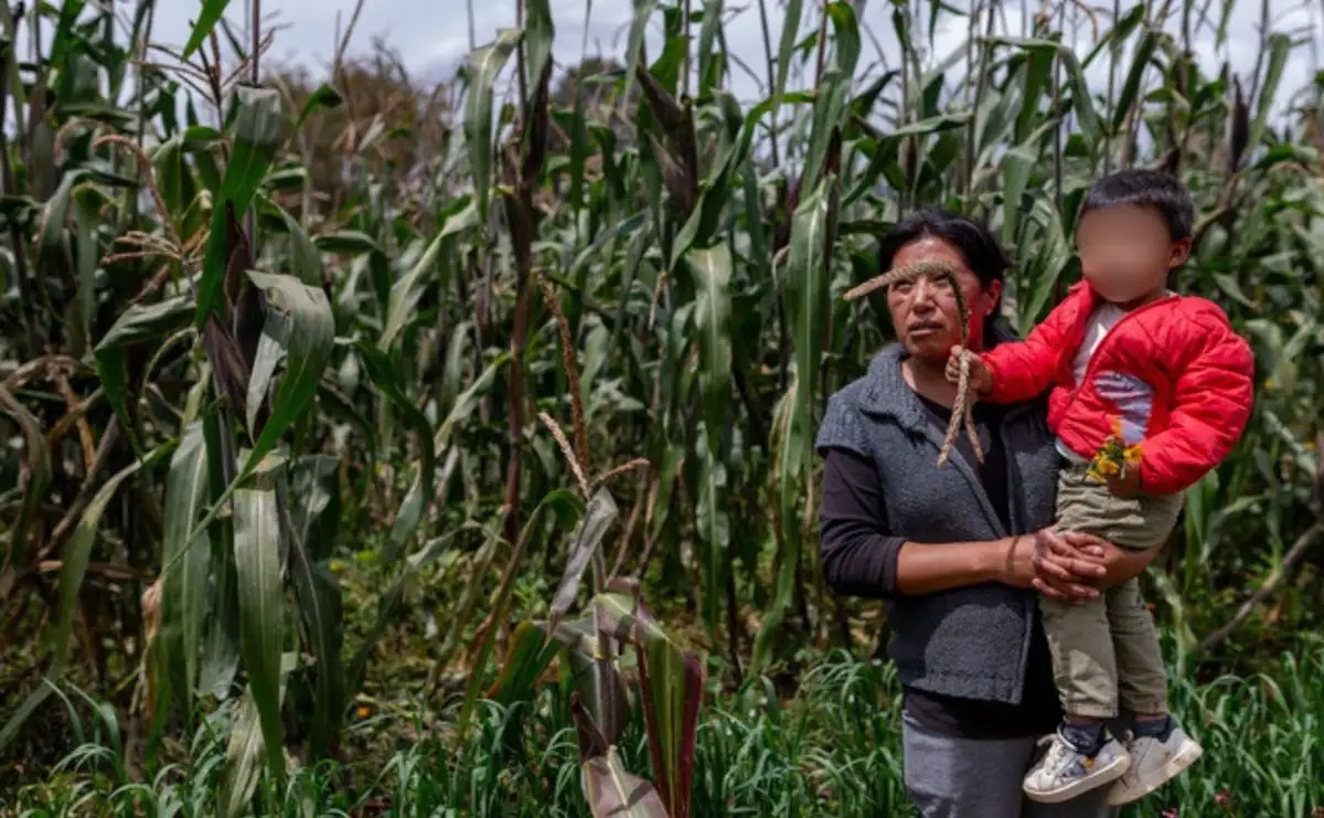 Mujeres campesinas integran el 43% de la fuerza laboral agrícola mundial