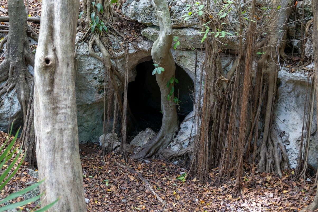 Premian la Cueva de Murciélagos, un espacio en la Unicaribe para la preservación de esta especie