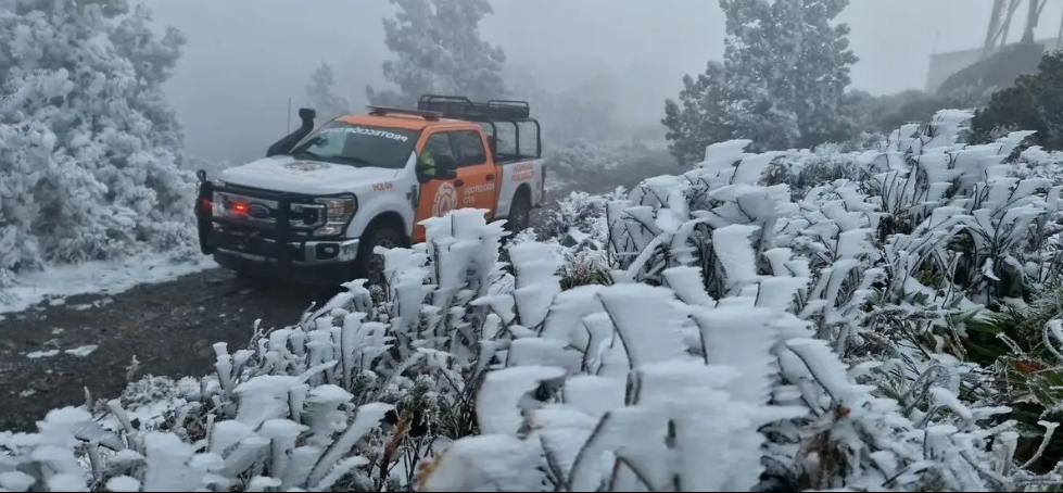Seguirán nevadas en zonas de Chihuahua, Coahuila, Nuevo León, Durango y Zacatecas