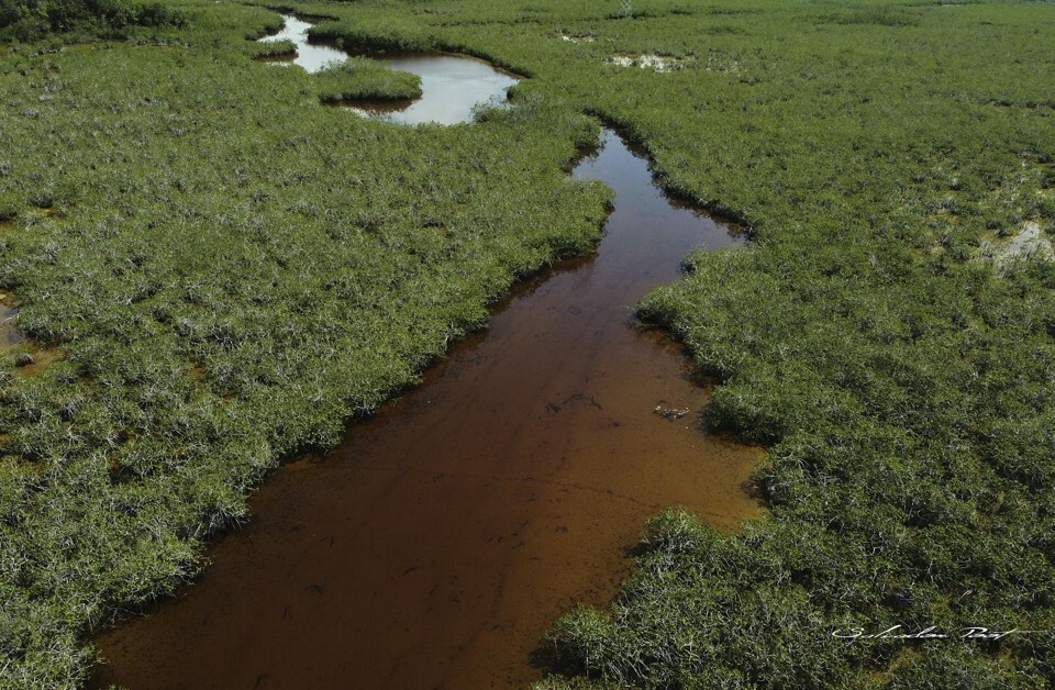 Organismos internacionales financian protección del corredor costero Chacmuchuc–Manatí
