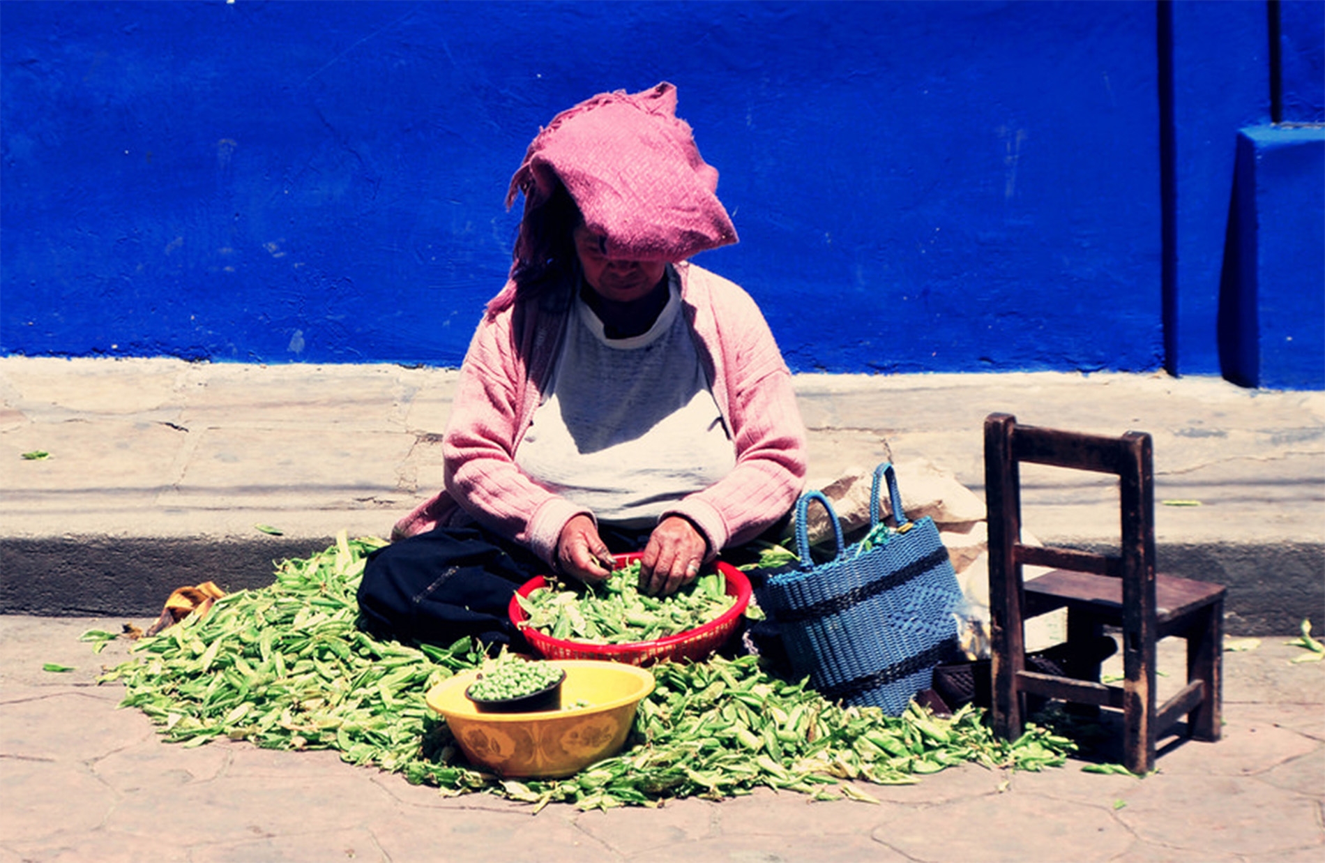 Yucatán, libre de OGM’s