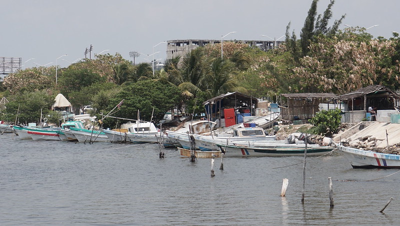 Pescadores de Carmen advierten caída en los volumnes de captura y disminución de ingresos
