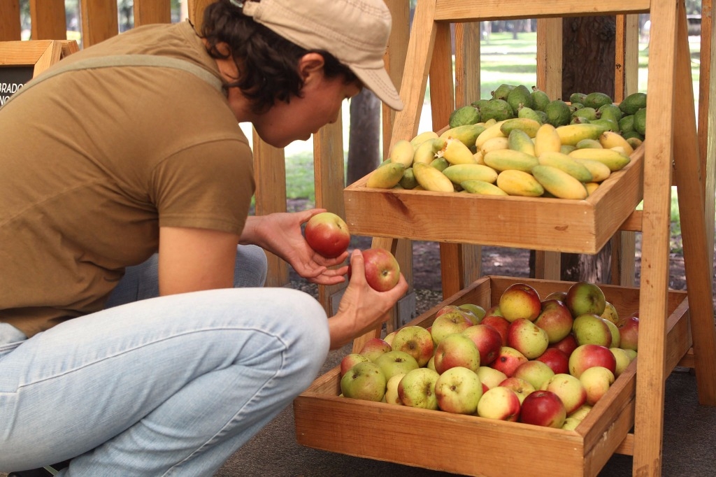 Tras mercado orgánico