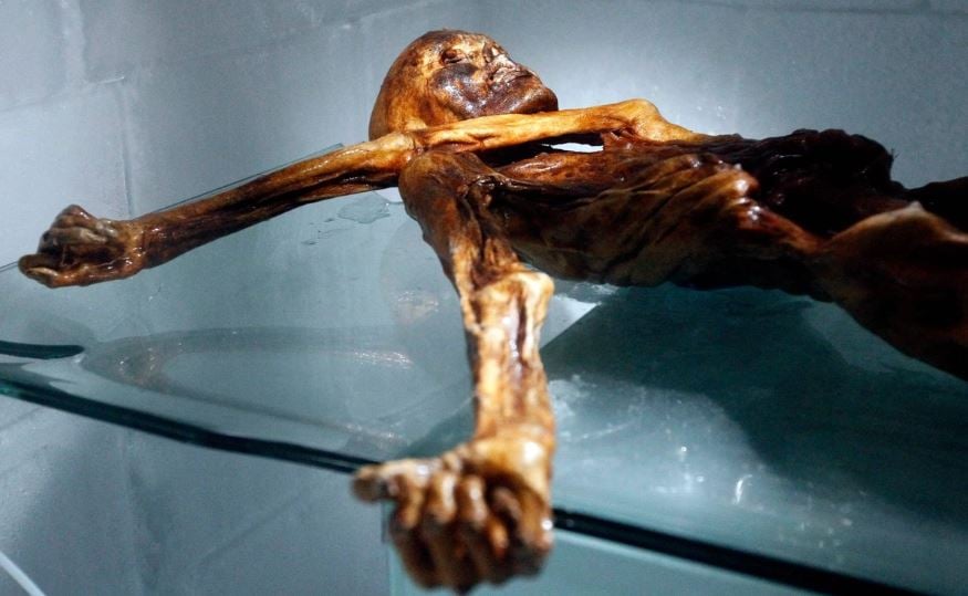 Ötzi sigue vivo en la ciencia: hallan ecosistema microbiano activo en una de las momias más antiguas del mundo