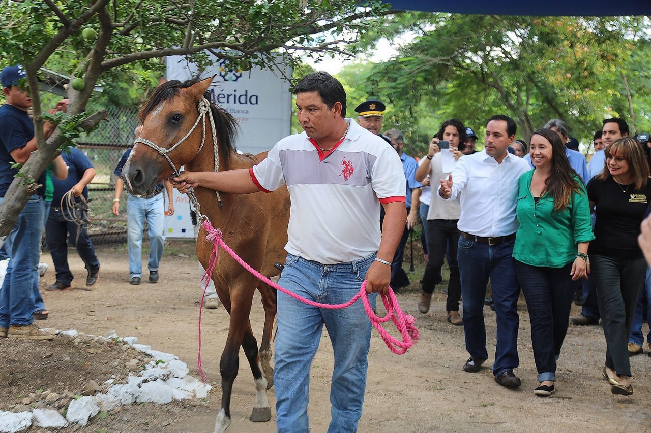 Paluso, a club de polo