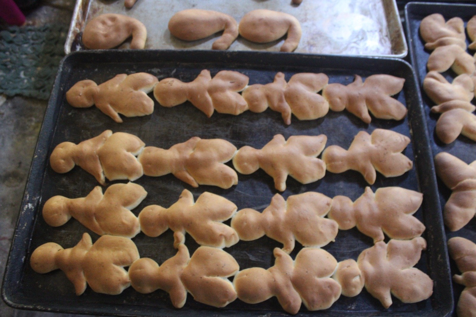 U waajil finadóos: u xt’uchitoilo’ob Xocchel  