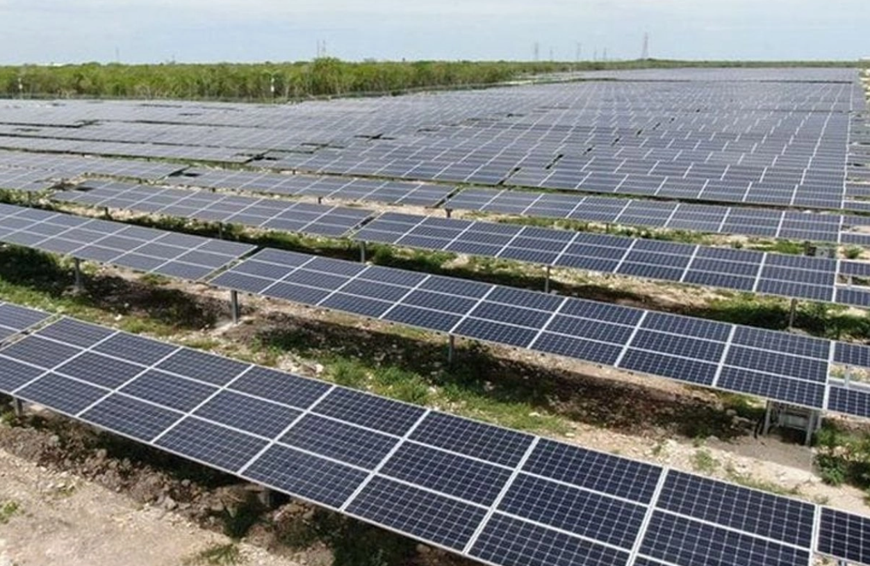 Comunidades mayas frenan instalación de megaproyectos solares fotovoltaicos en Yucatán 