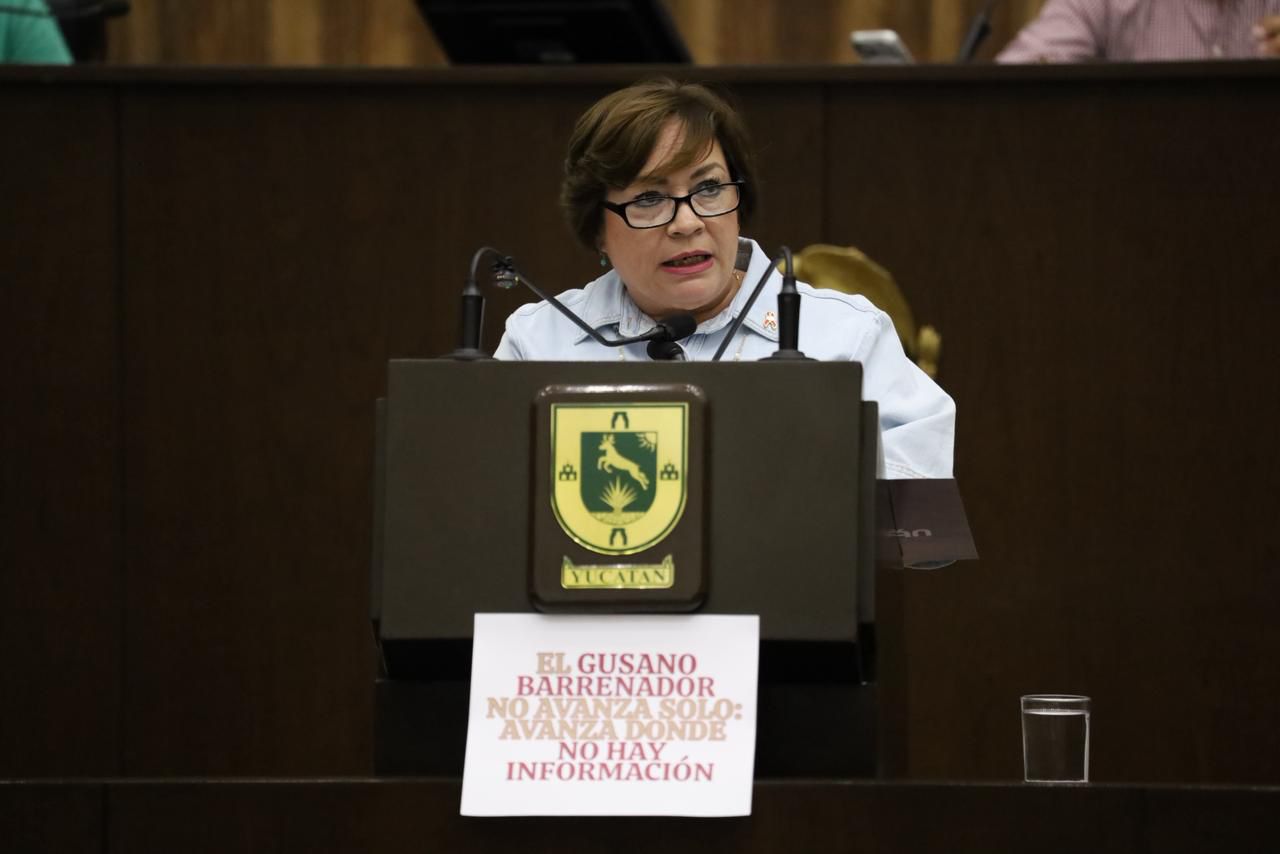 Presentan punto de acuerdo para crear comisión que atienda el gusano barrenador en Yucatán