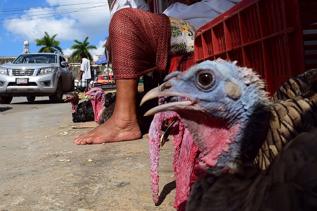 Comerciantes respetarán precios en insumos para cenas navideñas