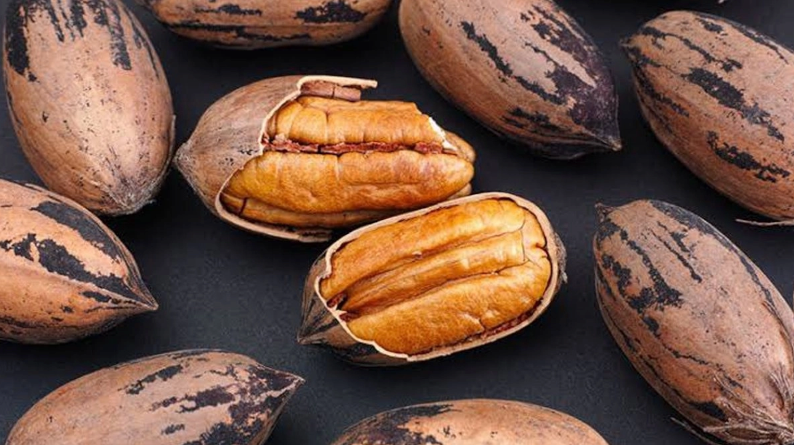 China impone aranceles de hasta 51.6 por ciento a nueces pecanas de México
