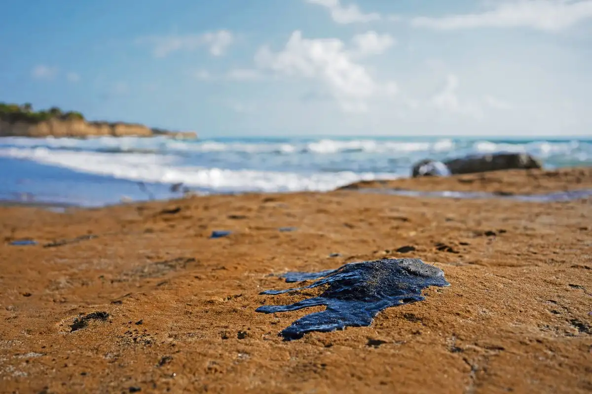 Efectos del derrame de hidrocarburos en Campeche se verán en la siguiente temporada, advierte Canainpesca