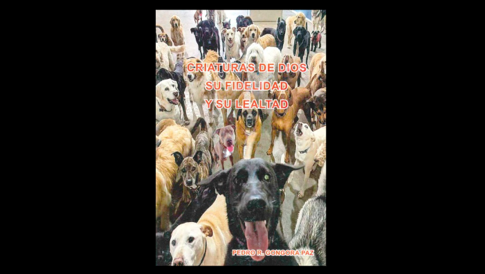 Fidelidades caninas