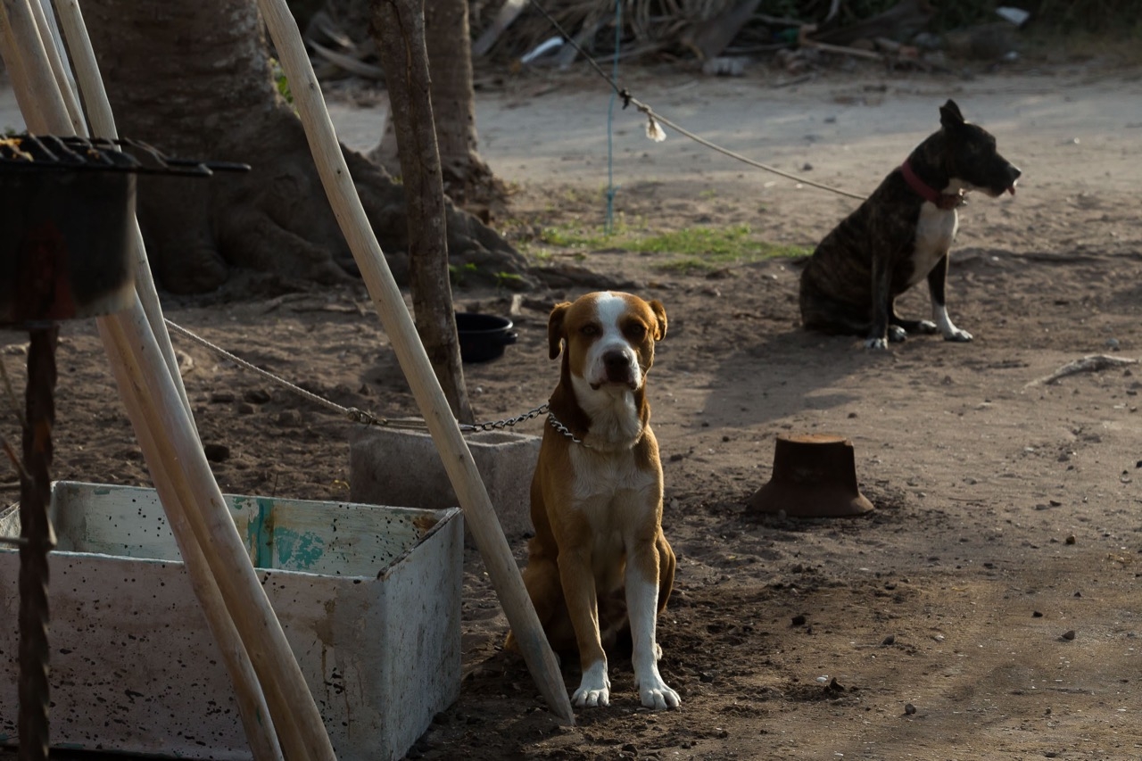 Mérida marchará de luto por 