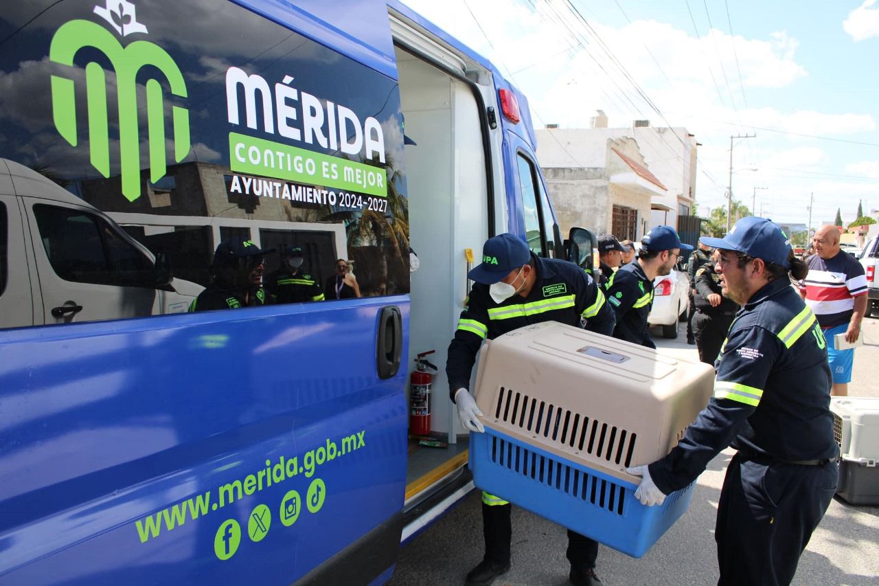 Detienen a una persona por crueldad animal en las inmediaciones de la Central de Abastos de Mérida