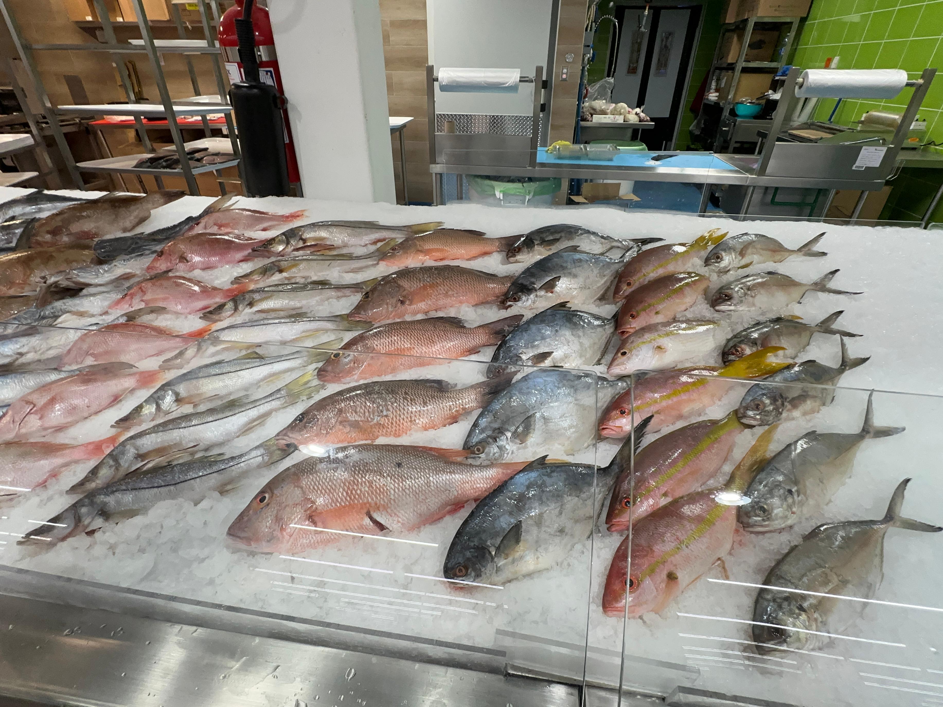 Pescaderías de Tulum mantienen altas expectativas por la Cuaresma