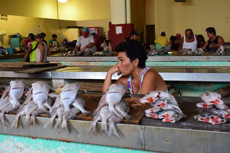 Mujeres, la fuerza laboral encargada de la transformación del producto marino en el estado de Campeche