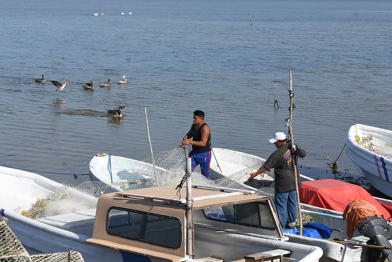 Pescadores anuncian manifestación durante comparecencia de secretarios de Estado en Campeche 